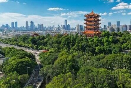91av麻豆传媒app怎么下载-体验科技新风尚，寻找个性化内容，深入理解91Av麻豆传媒App的获取方法