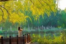 星空无限传媒 麻豆穆娜-璀璨星途，麻豆穆娜与星空无限传媒的梦幻交织